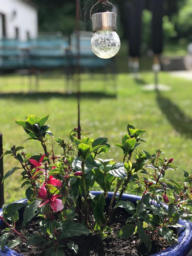 Ibsens Gaard Otel Ebeltoft Dış mekan fotoğraf